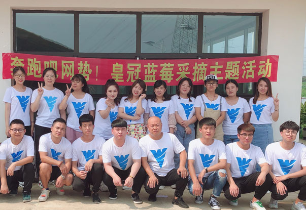 【奔跑吧網(wǎng)勢(shì)！】藍(lán)莓采摘主題團(tuán)建活動(dòng)